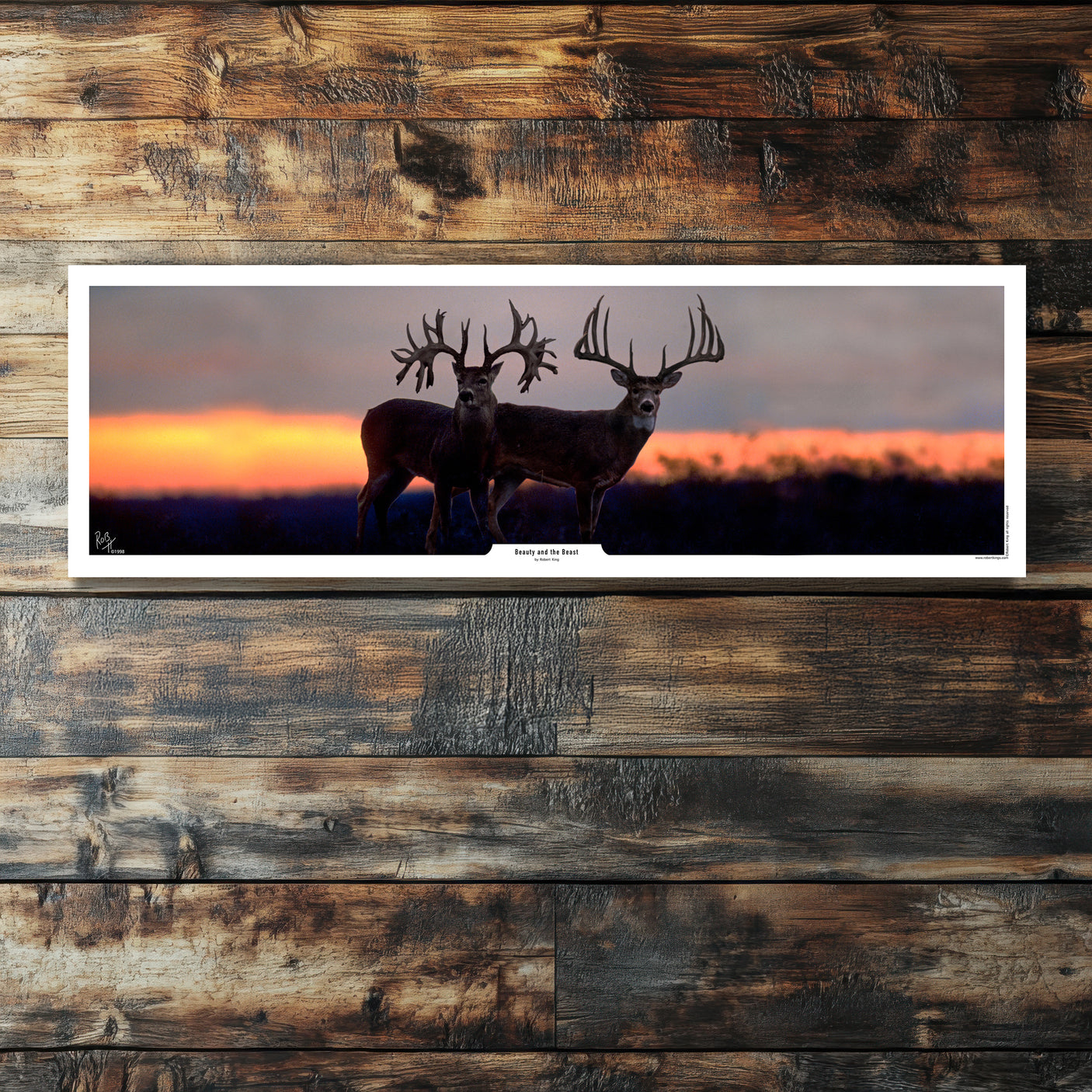 Beauty and the Beast Whitetail Deer Print