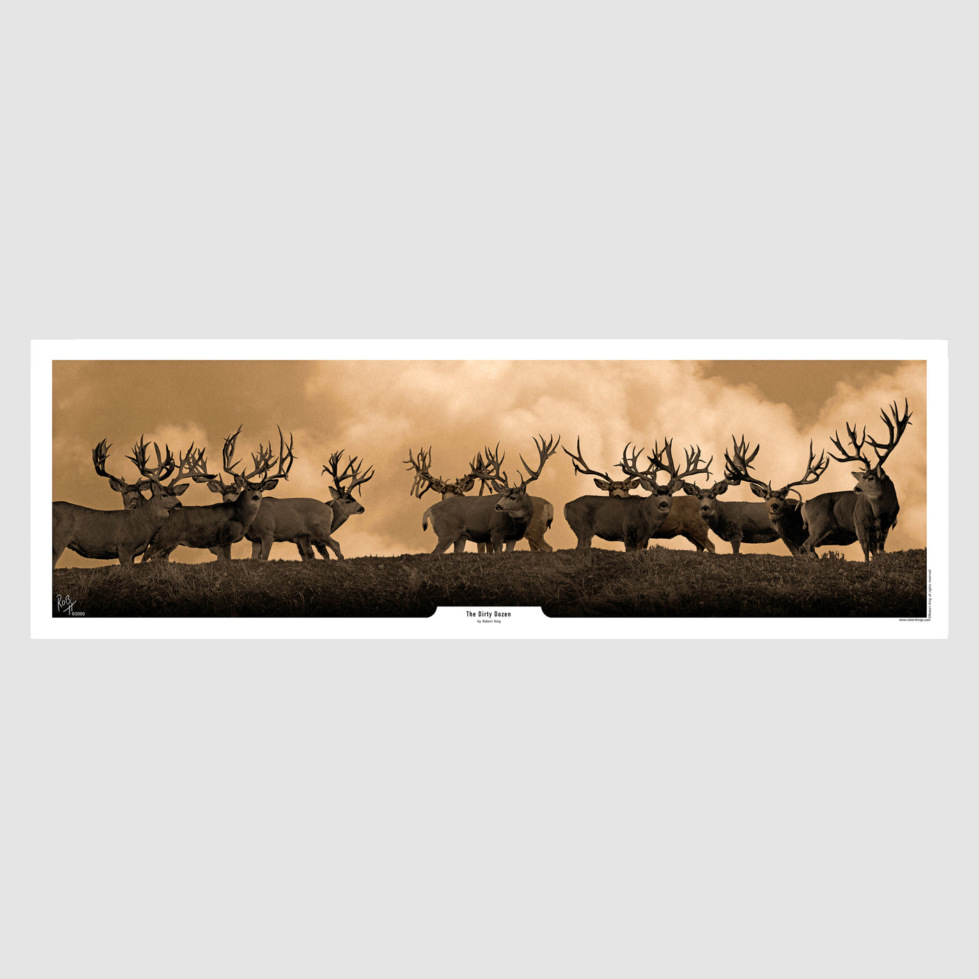 The Dirty Dozen Mule Deer Print
