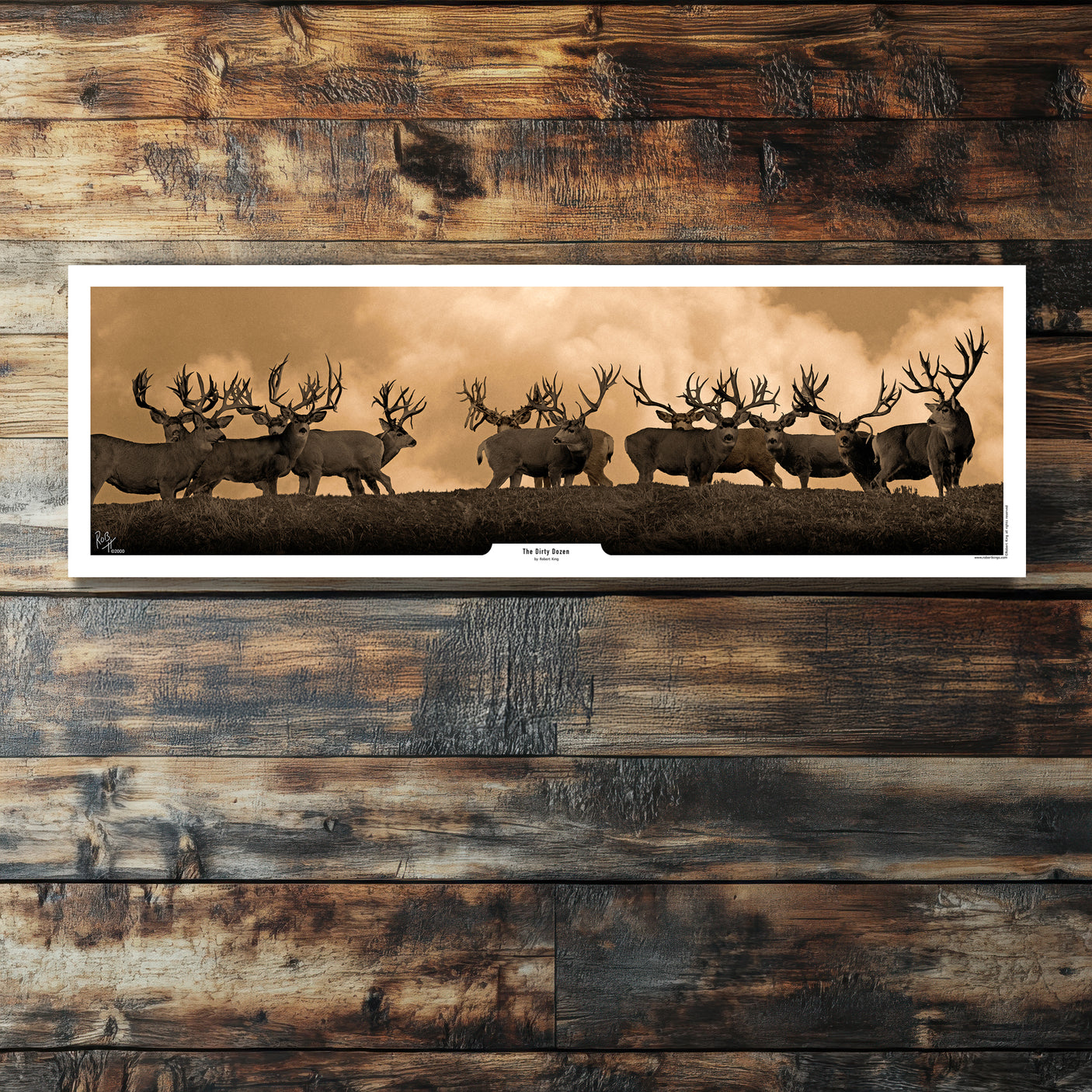 The Dirty Dozen Mule Deer Print