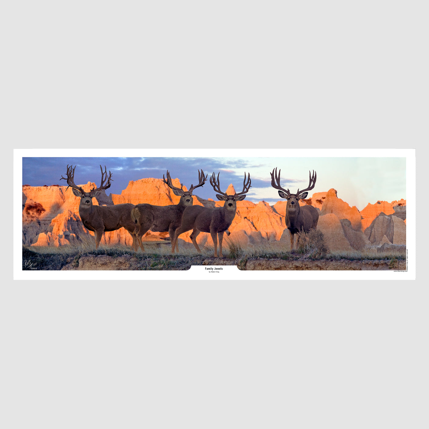 Family Jewels Mule Deer Print