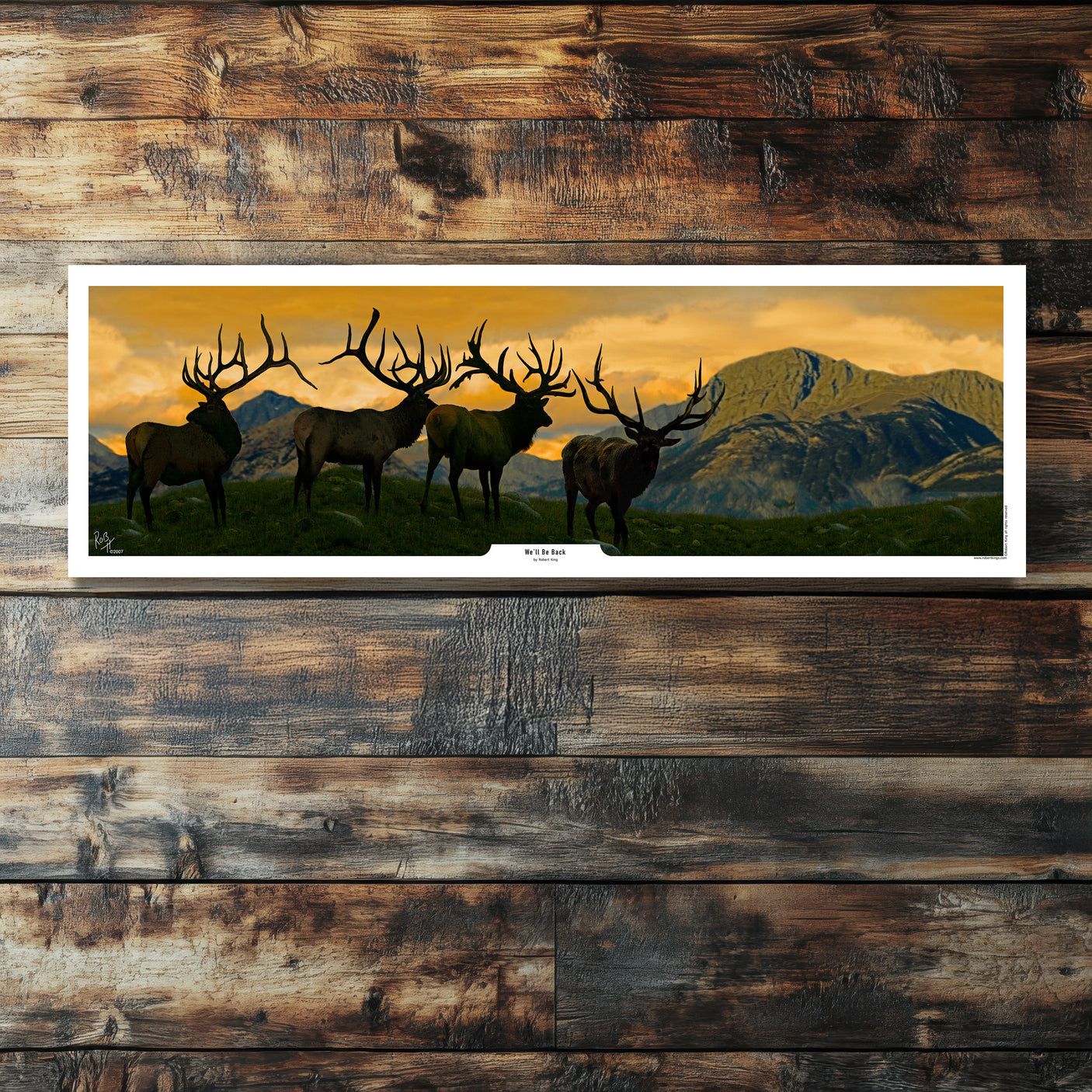 We’ll Be Back – Elk Print