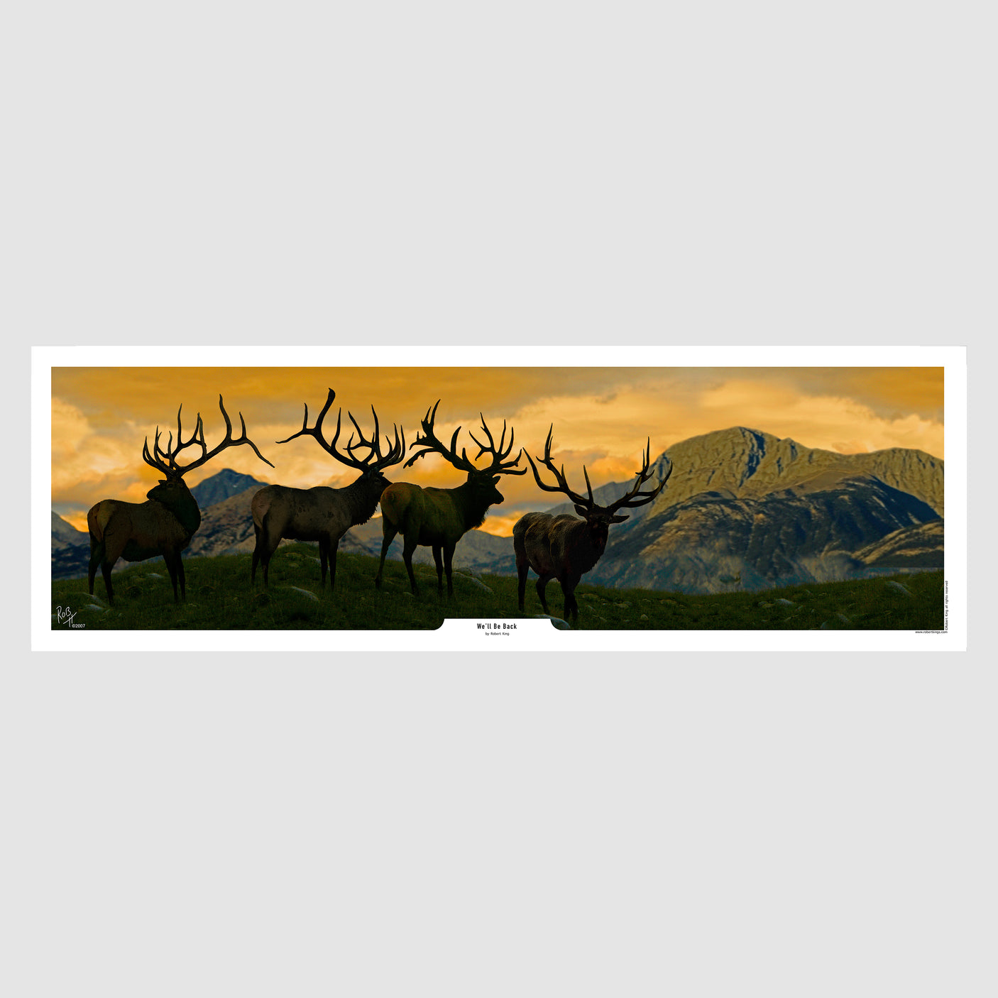 We’ll Be Back – Elk Print