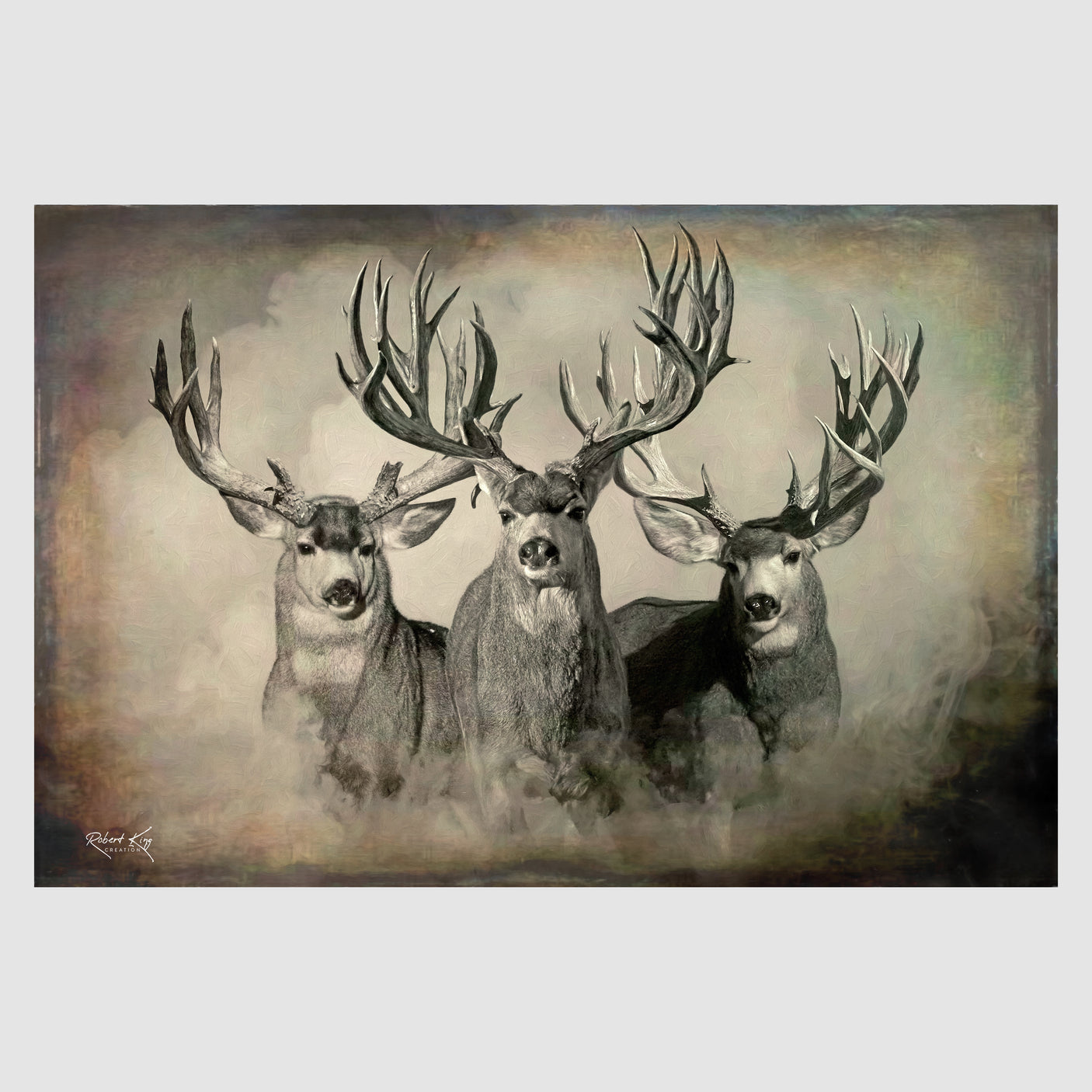 The Wild Bunch Mule Deer Print