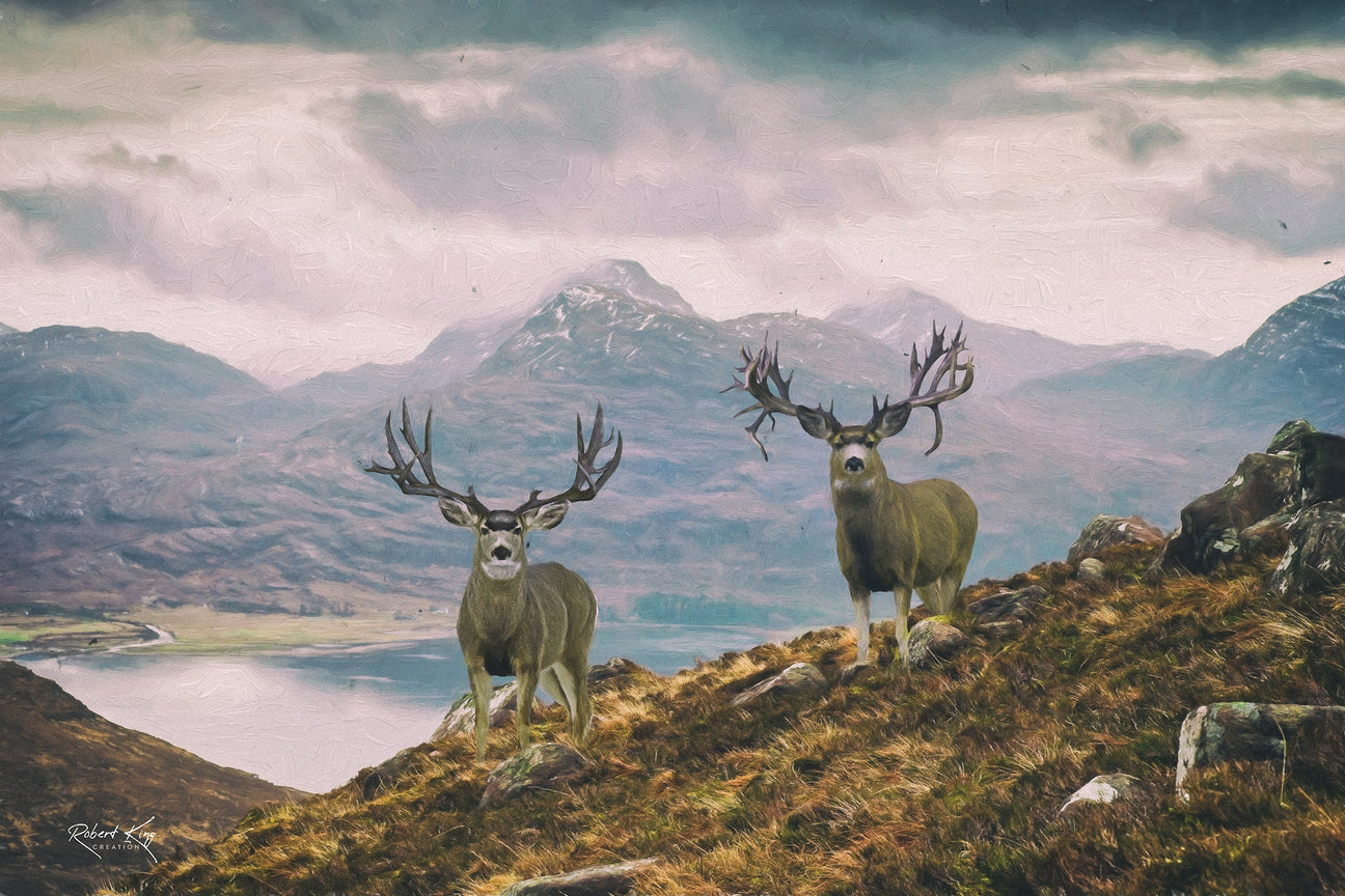 Wildlife Prints