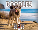 2025 Doodles Wall Calendar