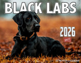 2026 Black Labradors Wall Calendar