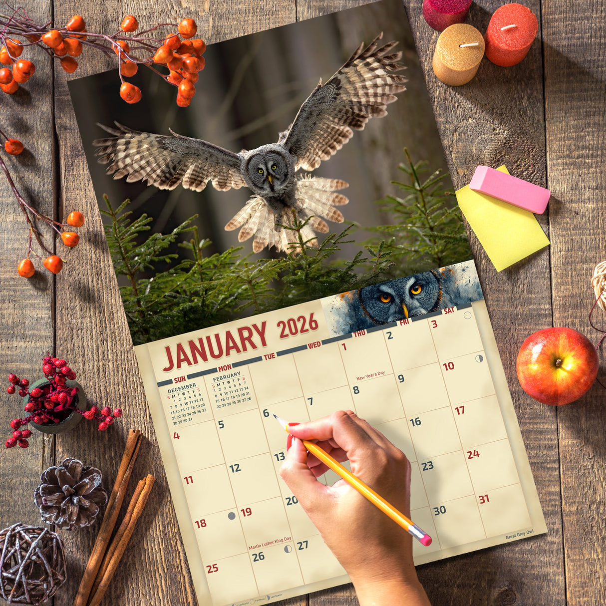 2026 Birds of Prey Wall Calendar