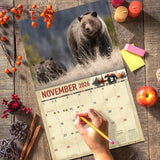 2026 Bears of North America Wall Calendar