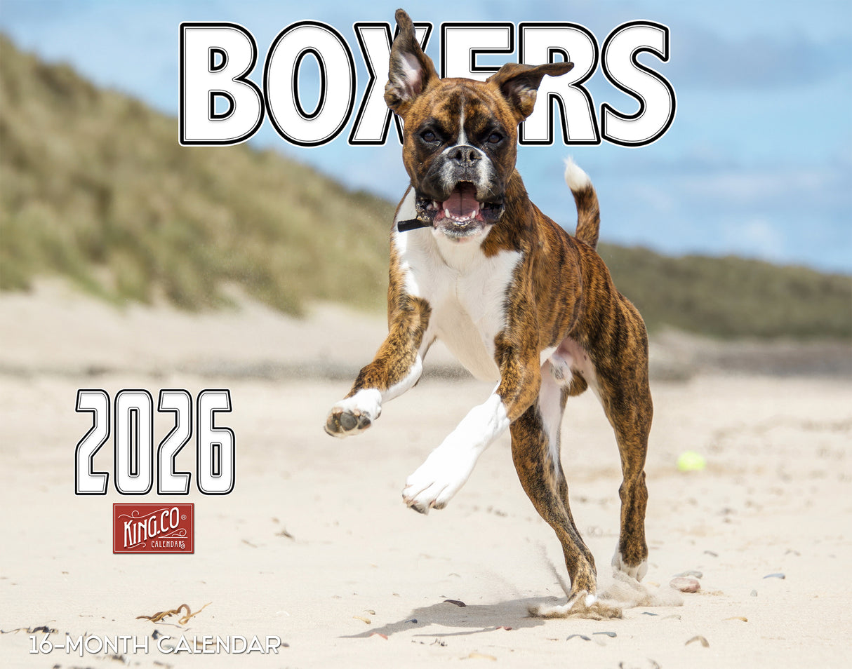 2026 Boxer Dogs Wall Calendar