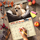 2026 Chihuahuas Dog Wall Calendar