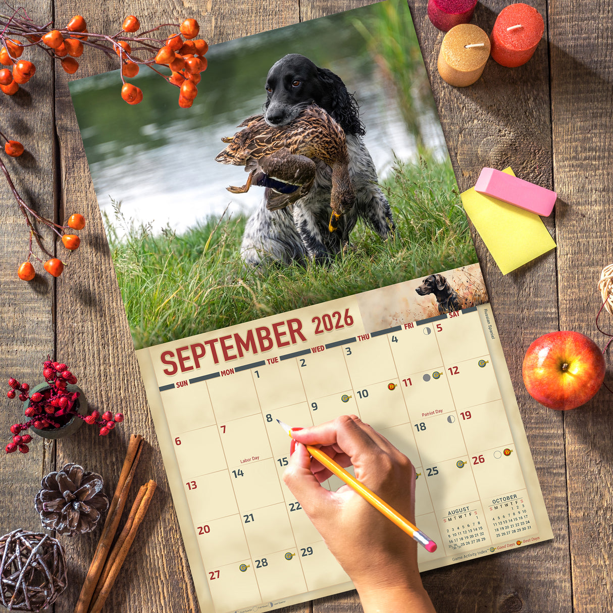 2026 Sporting Dogs Wall Calendar