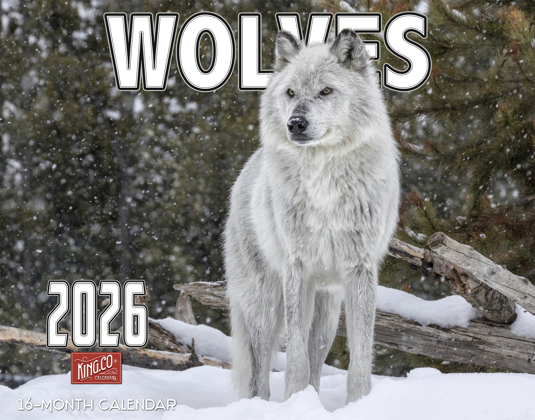 2026 Wolves Wall Calendar Majestic Predators In The Wild The King 2026 WO 01 