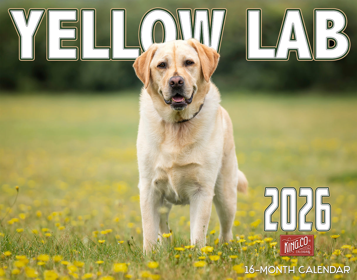 2026 Yellow Labradors Wall Calendar