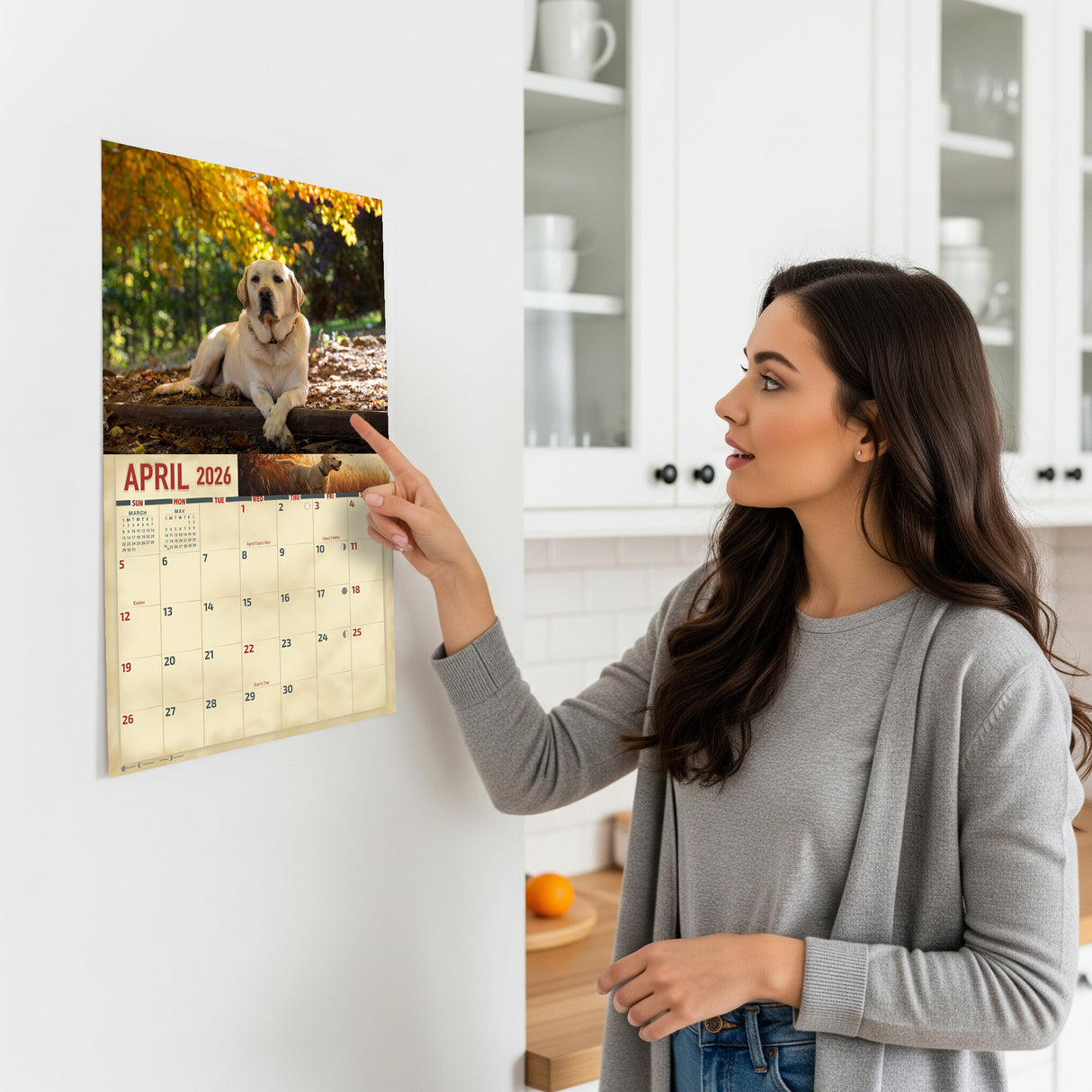 2026 Yellow Labradors Wall Calendar
