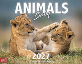 2027 Baby Animals Wall Calendar – 16-Month Wildlife Photography