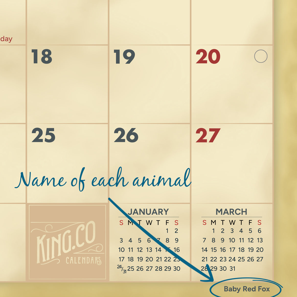 2027 Baby Animals Wall Calendar – 16-Month Wildlife Photography