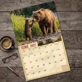 2027 Bears Wall Calendar – 16-Month Wildlife Photography