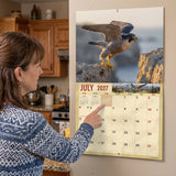 2027 Birds of Prey Wall Calendar – 16-Month Raptor Photography