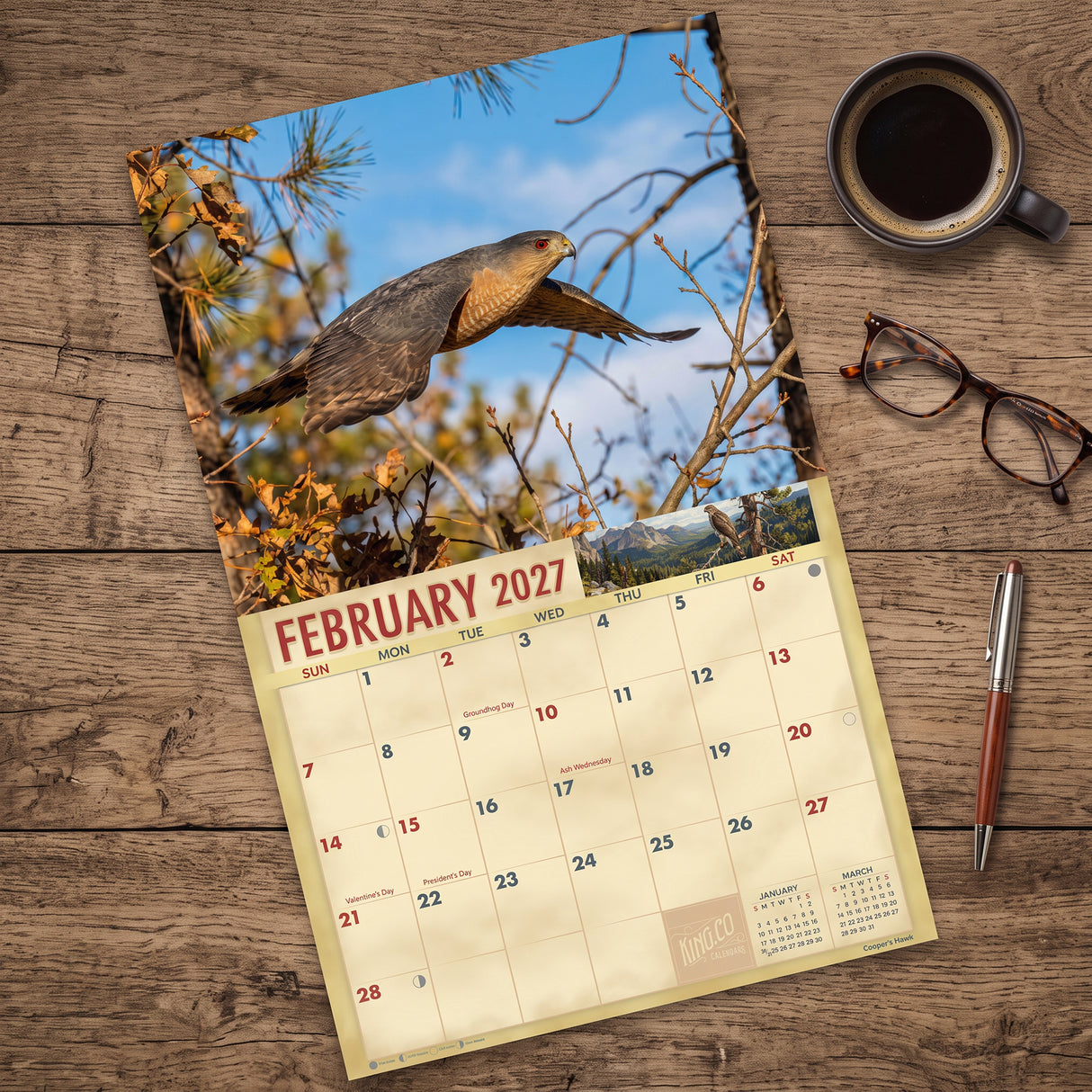 2027 Birds of Prey Wall Calendar – 16-Month Raptor Photography