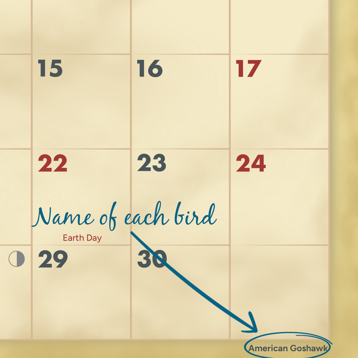 2027 Birds of Prey Wall Calendar – 16-Month Raptor Photography