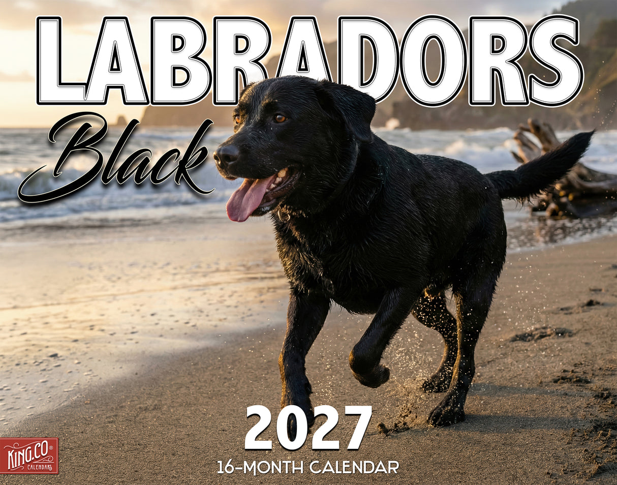 2027 Black Labs Wall Calendar – 16-Month Labrador Retriever Photography