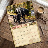 2027 Black Labs Wall Calendar – 16-Month Labrador Retriever Photography
