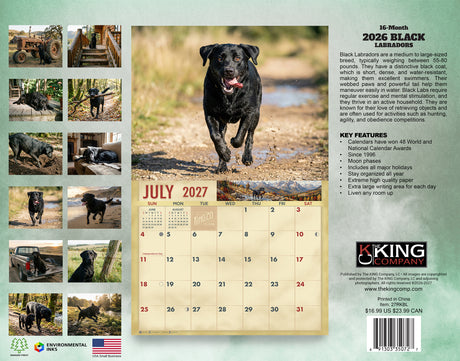 2027 Black Labs Wall Calendar – 16-Month Labrador Retriever Photography