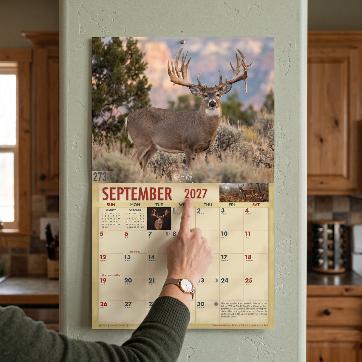 2027 Bucks & Bulls Signature Series Wall Calendar – 16-Month Deer & Elk