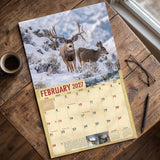 2027 Bucks & Bulls Signature Series Wall Calendar – 16-Month Deer & Elk