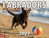 2027 Chocolate Labradors Wall Calendar – 16-Month Labrador Photography