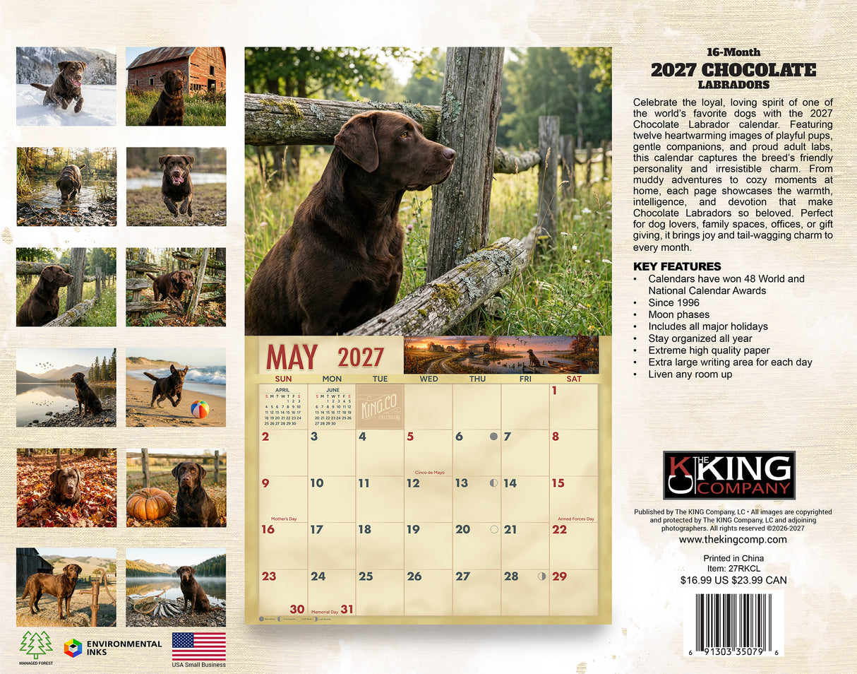 2027 Chocolate Labradors Wall Calendar – 16-Month Labrador Photography