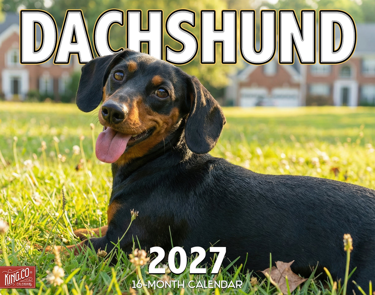 2027 Dachshund Wall Calendar – 16-Month Photography