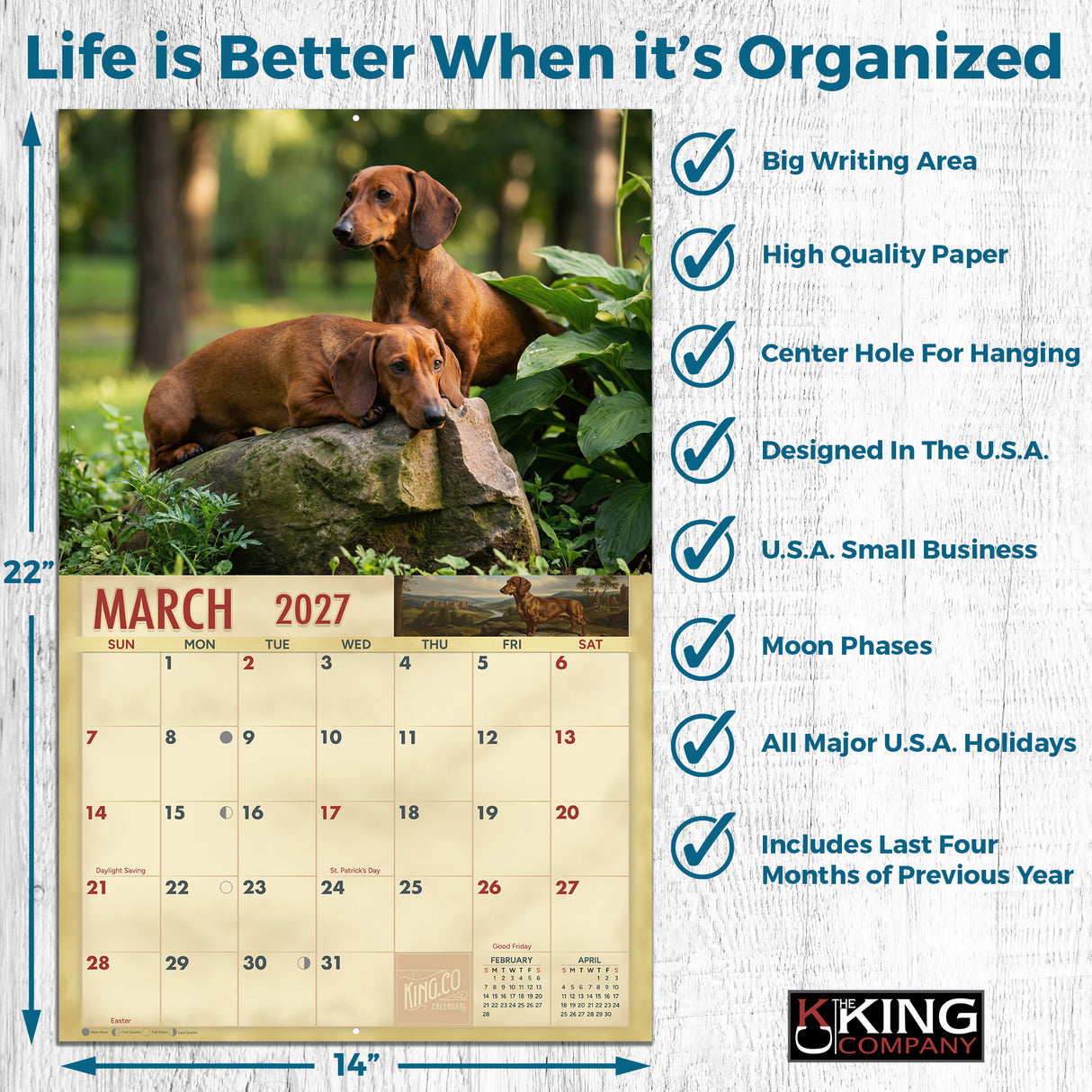 2027 Dachshund Wall Calendar – 16-Month Photography