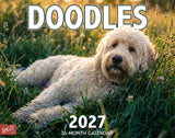2027 Doodles Wall Calendar – 16-Month Designer Dog Photography