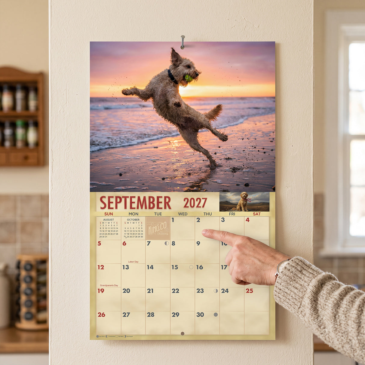 2027 Doodles Wall Calendar – 16-Month Designer Dog Photography
