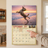2027 Doodles Wall Calendar – 16-Month Designer Dog Photography