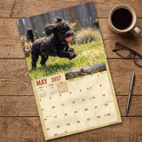 2027 Doodles Wall Calendar – 16-Month Designer Dog Photography