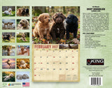 2027 Doodles Wall Calendar – 16-Month Designer Dog Photography