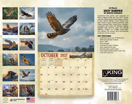 2027 Hawks Wall Calendar – 16-Month Raptor Photography