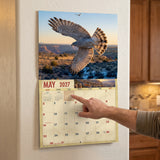 2027 Hawks Wall Calendar – 16-Month Raptor Photography