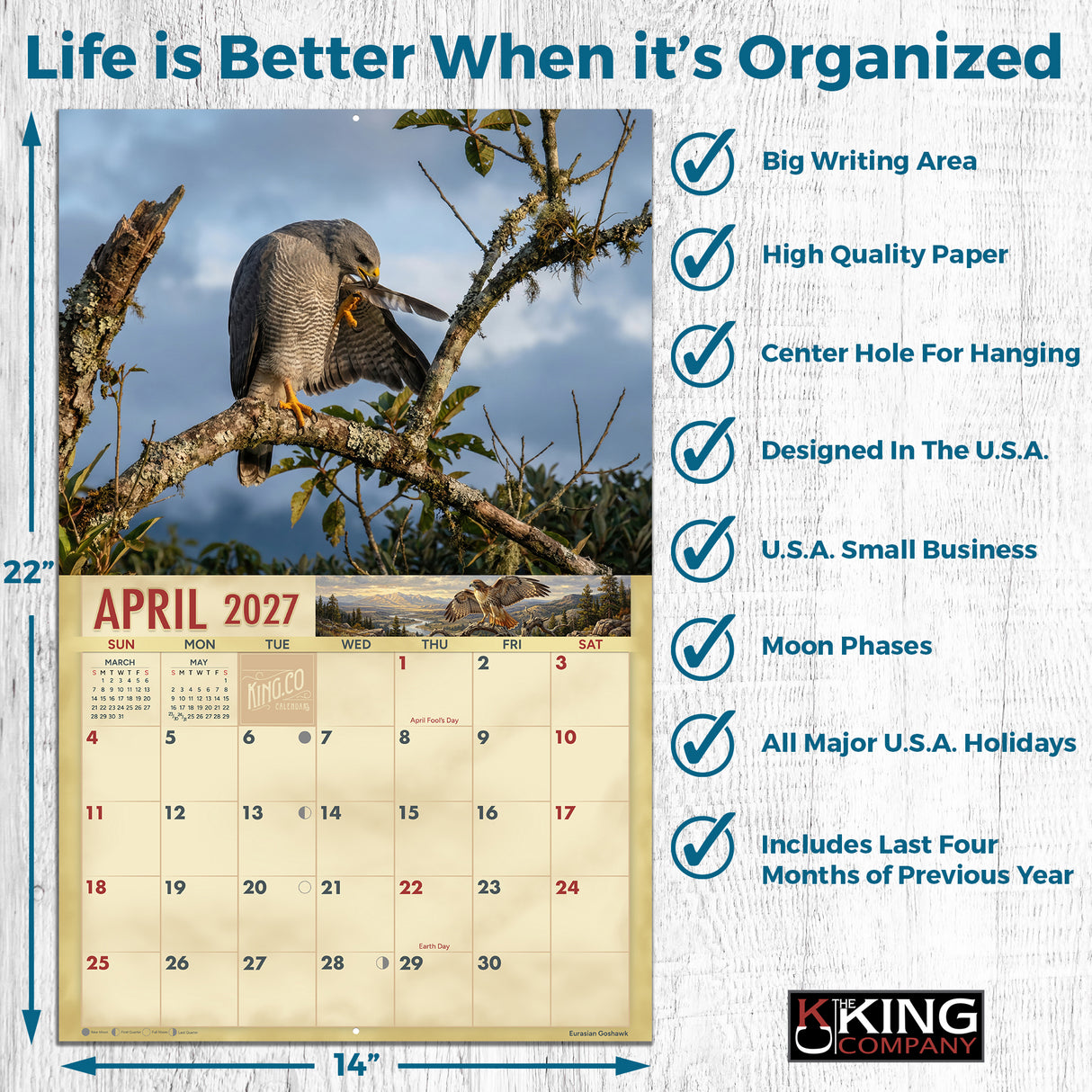 2027 Hawks Wall Calendar – 16-Month Raptor Photography