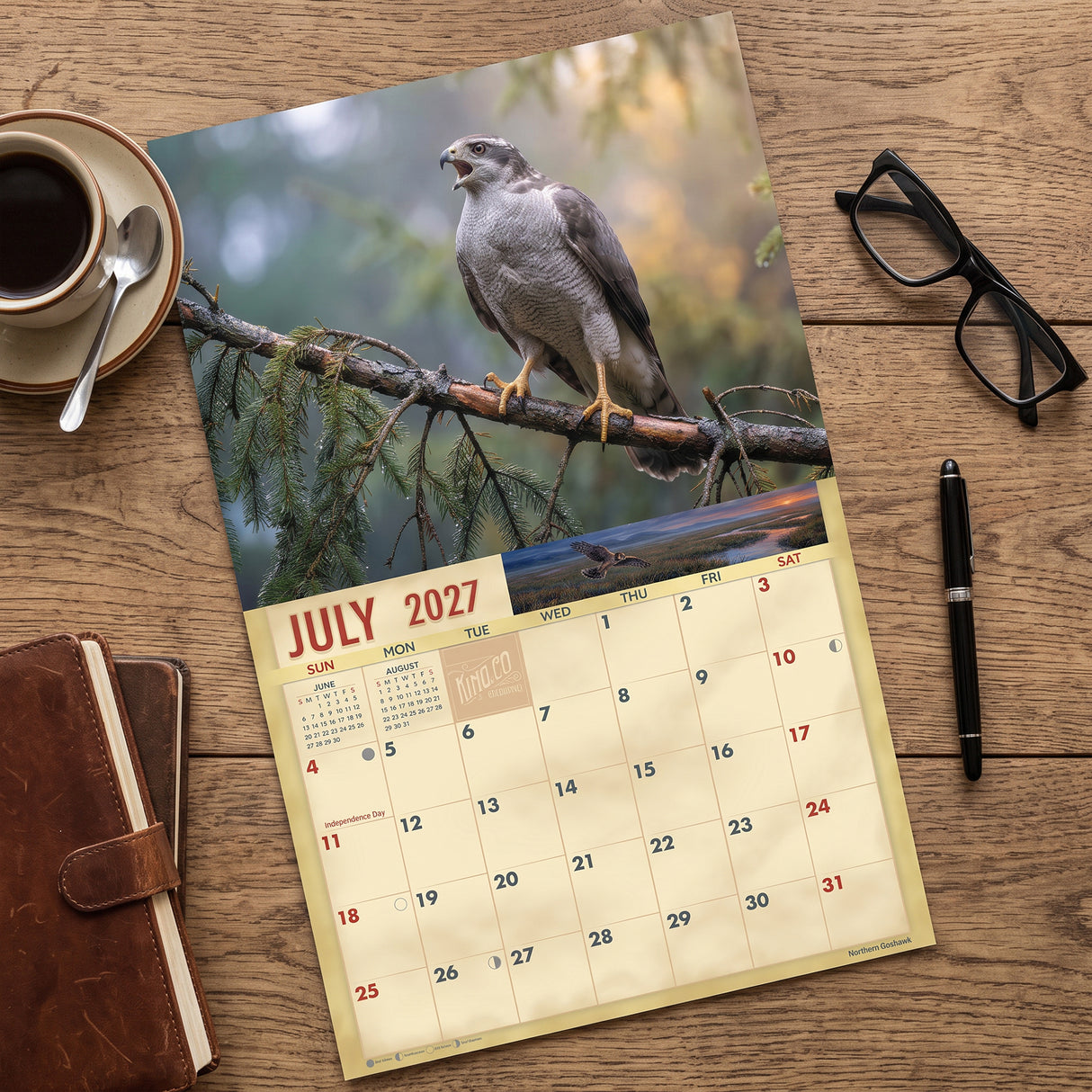 2027 Hawks Wall Calendar – 16-Month Raptor Photography