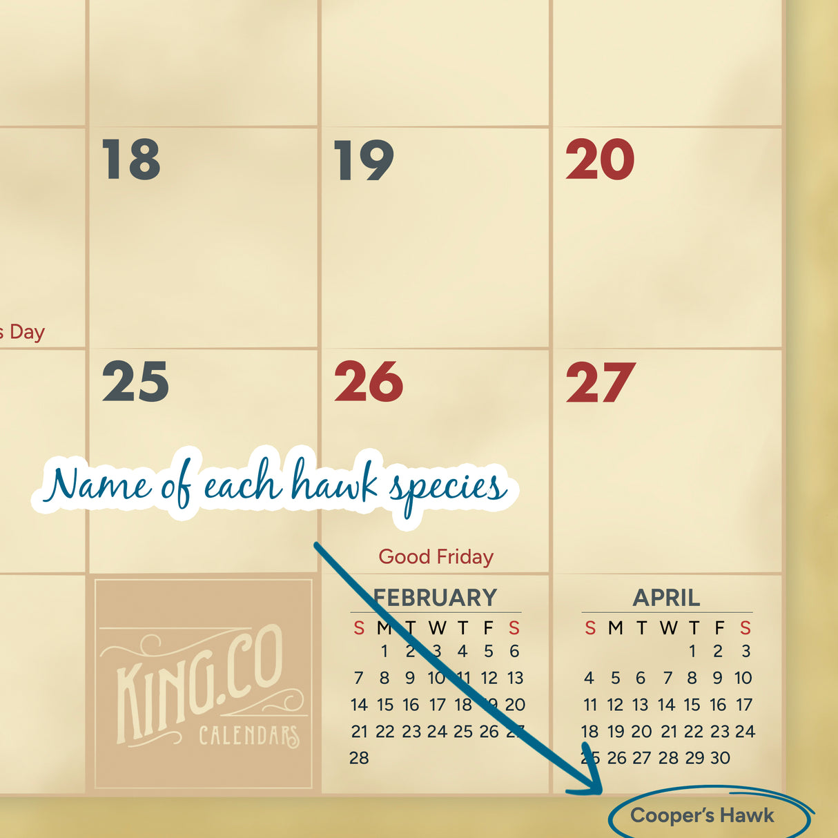 2027 Hawks Wall Calendar – 16-Month Raptor Photography