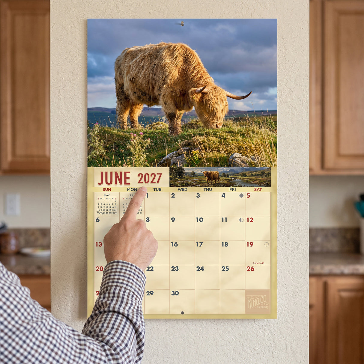 2027 Highland Cows Wall Calendar – 16-Month Cattle Photography