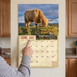 2027 Highland Cows Wall Calendar – 16-Month Cattle Photography