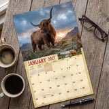2027 Highland Cows Wall Calendar – 16-Month Cattle Photography