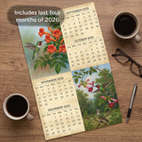 2027 Hummingbirds Wall Calendar – 16-Month Bird Photography