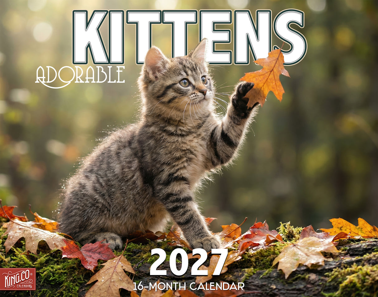 2027 Kittens Wall Calendar – 16-Month Cat Photography