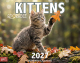 2027 Kittens Wall Calendar – 16-Month Cat Photography