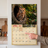 2027 Owls Wall Calendar – 16-Month Wildlife Photography
